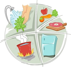Level 2 Food Safety Training (HSE Compliant)